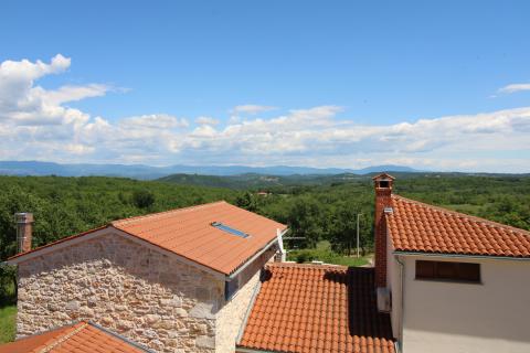 Istra, Vižinada, okolica renovirana autohtona kuća s bazenom