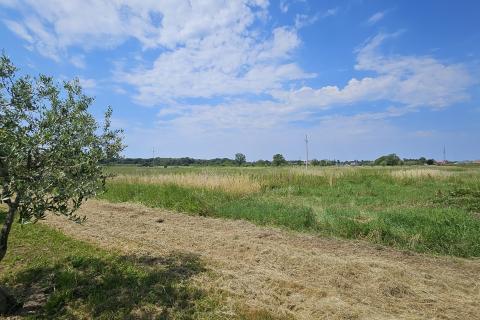 Istra, Umag- negrađevinsko zemlji&scaron;te