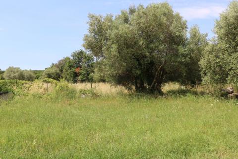 Bouwgrond Vrsar, 1.020m2
