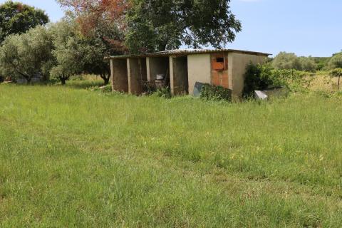 Bouwgrond Vrsar, 1.020m2