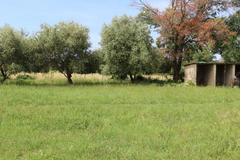 Bouwgrond Vrsar, 1.020m2