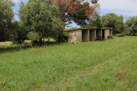 Bouwgrond Vrsar, 1.020m2