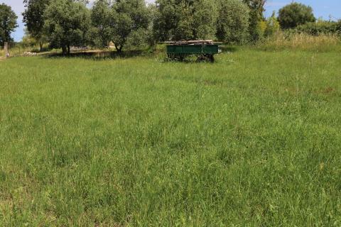 Bouwgrond Vrsar, 1.020m2