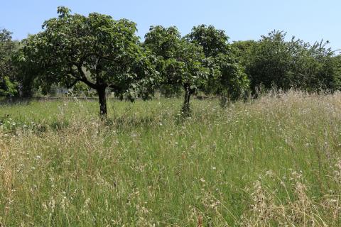 Poreč, okolica- građevinsko zemlji&scaron;te za dvojnu kuću