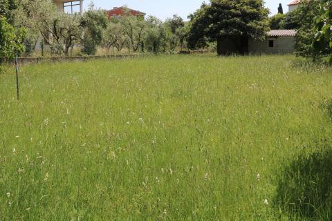 Poreč, okolica- građevinsko zemlji&scaron;te za dvojnu kuću