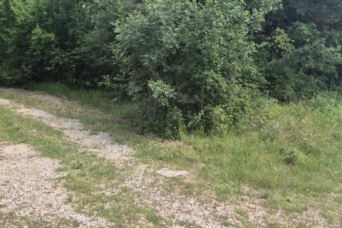 Istra, Kanfanar veliko poljoprivredno zemlji&scaron;te