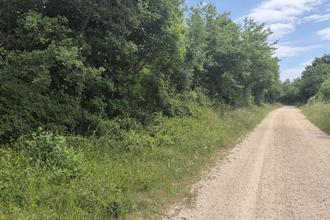 Istra, Kanfanar veliko poljoprivredno zemlji&scaron;te
