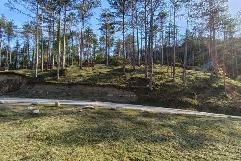 Terreno non edificabile Buzet, 18.144m2