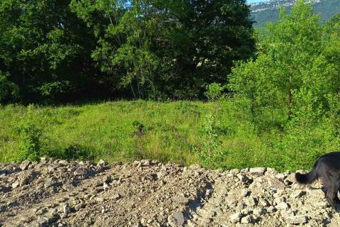 Terreno non edificabile Buzet, 18.144m2