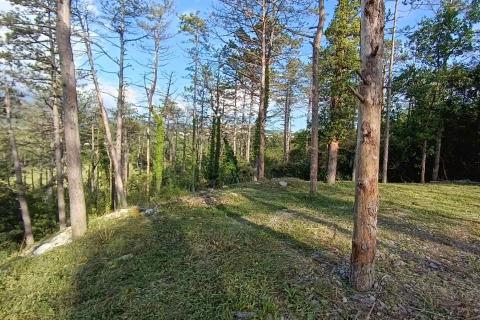 Stavbno zemlji&scaron;če Buzet, 33.173m2