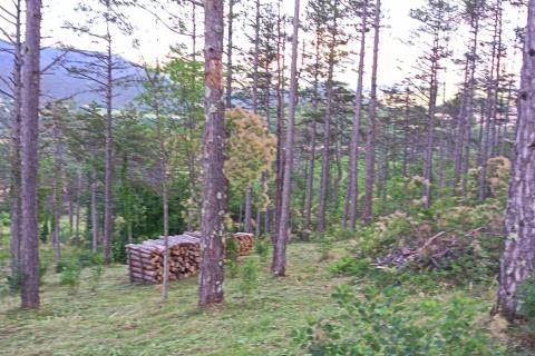 Stavbno zemlji&scaron;če Buzet, 33.173m2