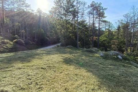 Stavbno zemlji&scaron;če Buzet, 33.173m2
