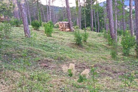 Stavbno zemlji&scaron;če Buzet, 33.173m2