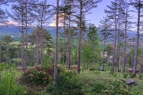Stavbno zemlji&scaron;če Buzet, 33.173m2