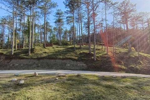 Stavbno zemlji&scaron;če Buzet, 33.173m2