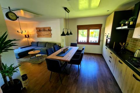 Gorski Kotar, Brod Moravice, kuća 120 m2