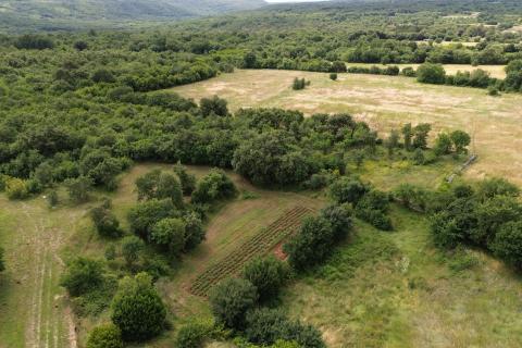 Istria, Marčana &ndash; Affordable agricultural land 1.8 ha