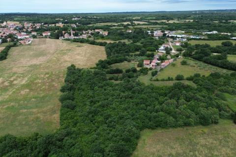 Istria, Marčana &ndash; Affordable agricultural land 1.8 ha