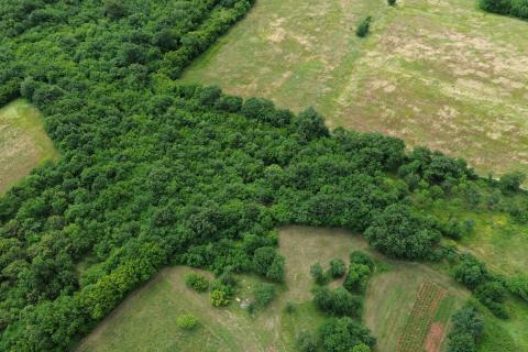 Istria, Marčana &ndash; Affordable agricultural land 1.8 ha