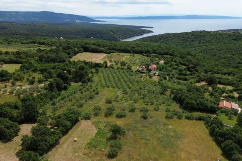ISTRIEN, PERU&Scaron;KI &ndash; Landwirtschaftliche Nutzfl&auml;che 22.809 m&sup2;