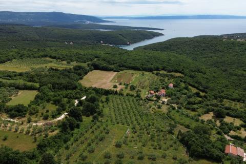 ISTRIEN, PERU&Scaron;KI &ndash; Landwirtschaftliche Nutzfl&auml;che 22.809 m&sup2;