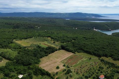 ISTRIEN, PERU&Scaron;KI &ndash; Landwirtschaftliche Nutzfl&auml;che 22.809 m&sup2;