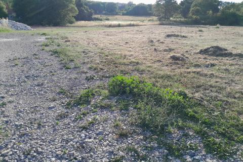 Istra,Medulin,građevinsko zemlji&scaron;te