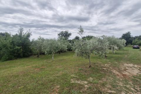 Terreno edificabile Div&scaron;ići, Marčana, 686m2