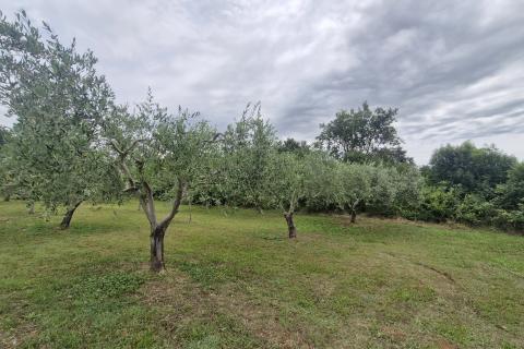 Terreno edificabile Div&scaron;ići, Marčana, 686m2