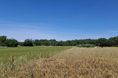 Nicht-strukturelle Land Brtonigla, 5.740m2