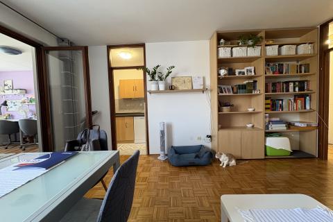 Appartamento Kurilovec, Velika Gorica, 46,88m2