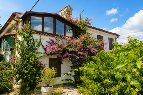 OPATIJA - POBRI - samostojeća kuća