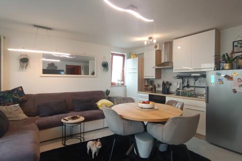 Condo/Apartment Novigrad, 71m2