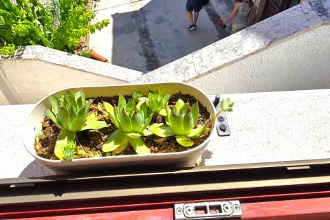 Wohnung Rovinj, 45m2