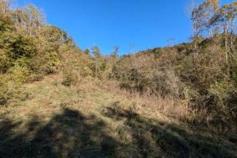 Istra,Labin,Martinski,negrađevinsko zemlji&scaron;te