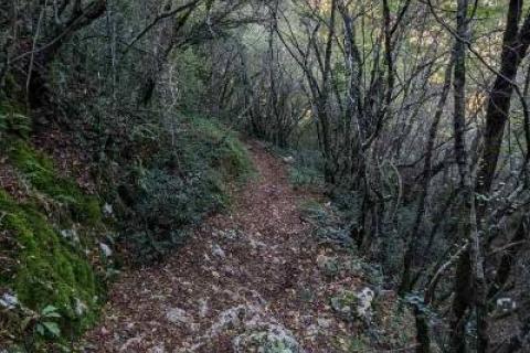 Istra,Labin,Martinski,&scaron;uma