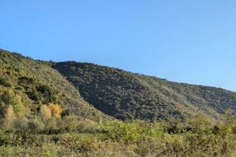 Istra,Labin,Martinski,&scaron;uma