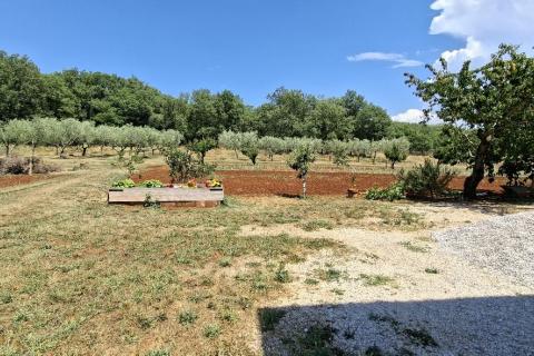 House Juricani, Umag, 420m2