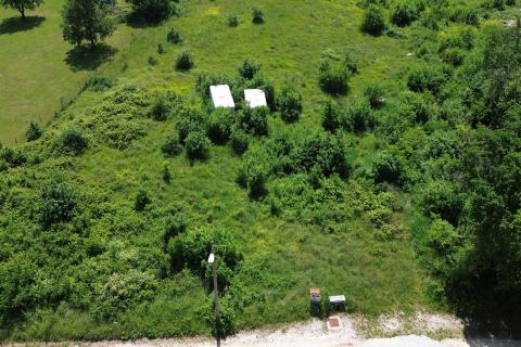 Bauland Gradina, Sveti Lovreč, 5.696m2
