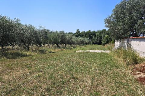 Bauland Umag, 1.156m2