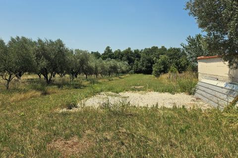 Bauland Umag, 1.156m2