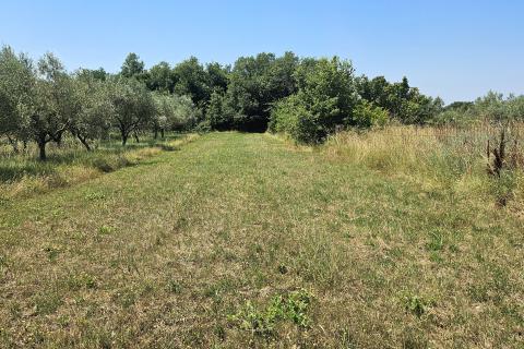 Bauland Umag, 1.156m2