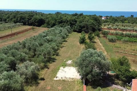 Bauland Umag, 1.156m2