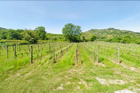 Nicht-strukturelle Land Motovun, 7.123m2