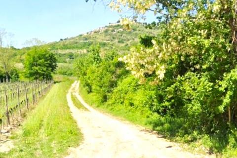 Nicht-strukturelle Land Motovun, 7.123m2