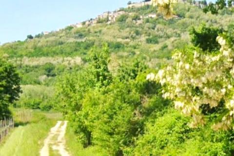 Nicht-strukturelle Land Motovun, 7.123m2