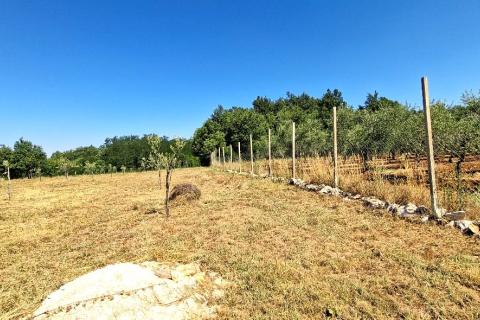 Nicht-strukturelle Land Ka&scaron;tel, Buje, 7.270m2