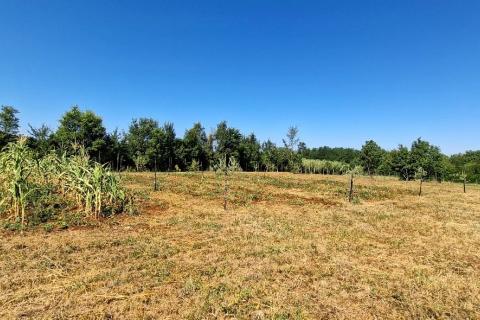 Nicht-strukturelle Land Ka&scaron;tel, Buje, 7.270m2