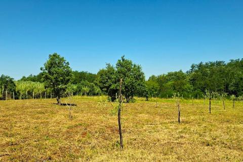Nicht-strukturelle Land Ka&scaron;tel, Buje, 7.270m2