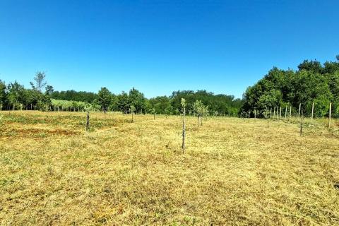 Nicht-strukturelle Land Ka&scaron;tel, Buje, 7.270m2
